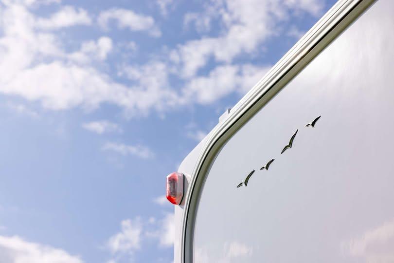 540752075 1083698527264959 195828758644492662 N